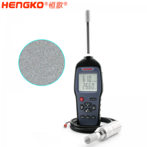 HG970 可拆換探頭濕度巡檢儀  工業(yè)型露點(diǎn)測量儀