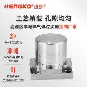 氣體過濾IGS面板專用過濾器_半導(dǎo)體潔凈高純氣體過濾器 兼容多種密封